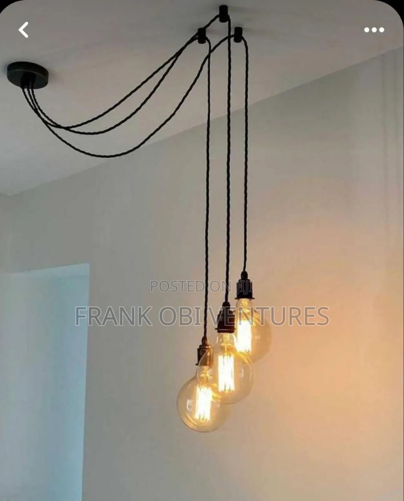 Monkey Drop Lights