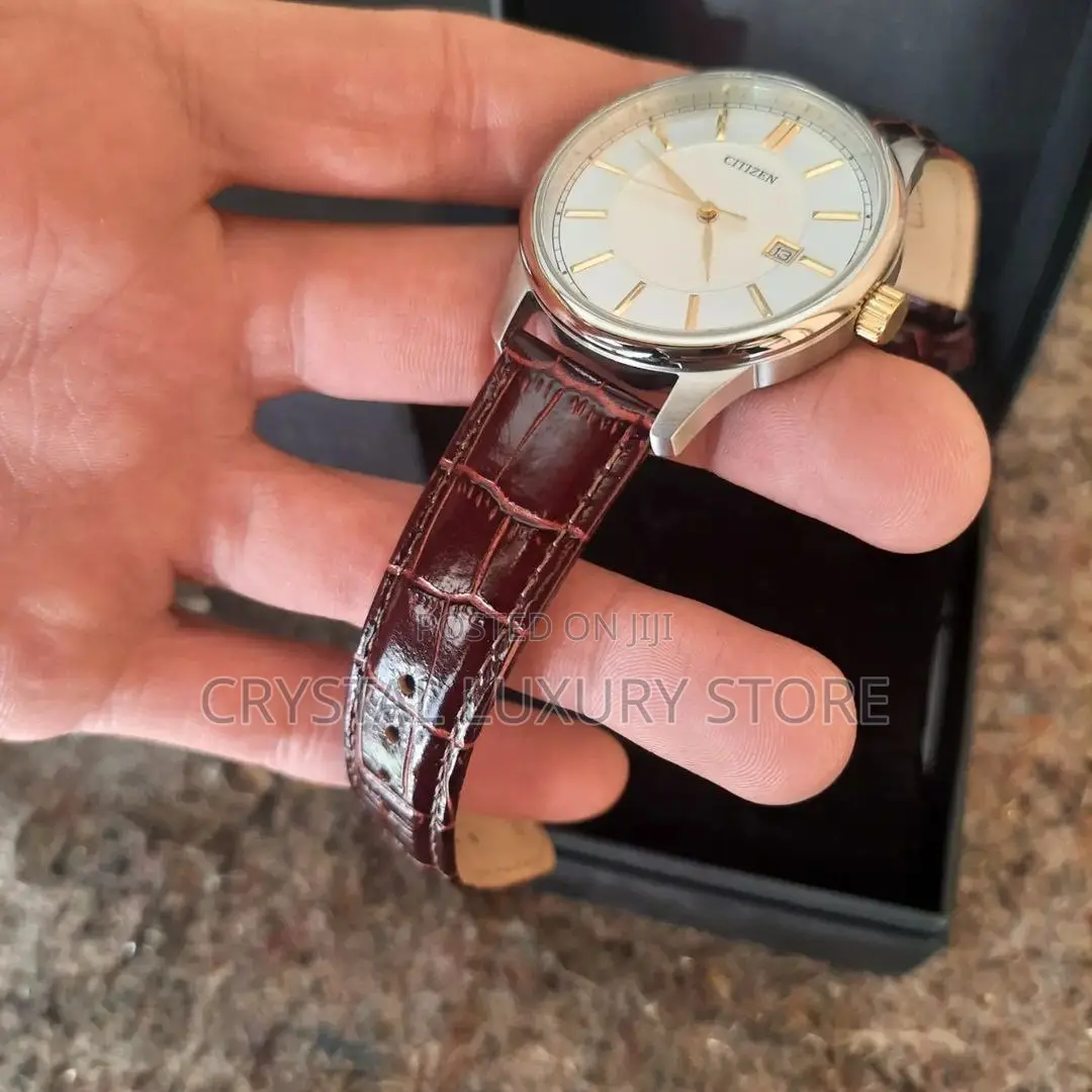 Citizen Authentic Top Luxury Quartz Silver Dial Wristwatch