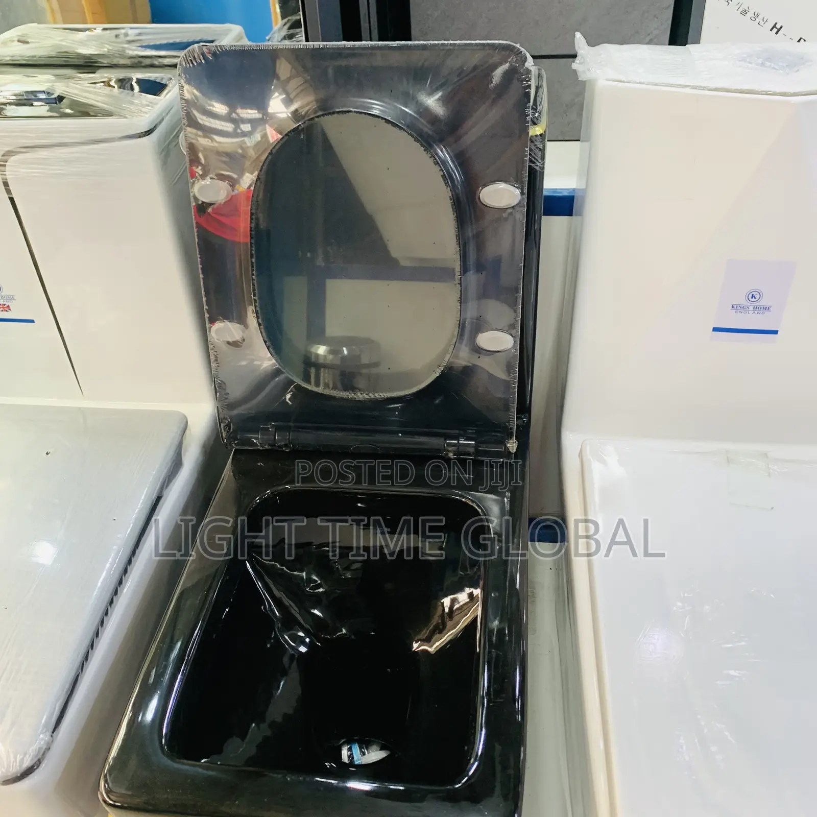 Luxury Black Water Closet