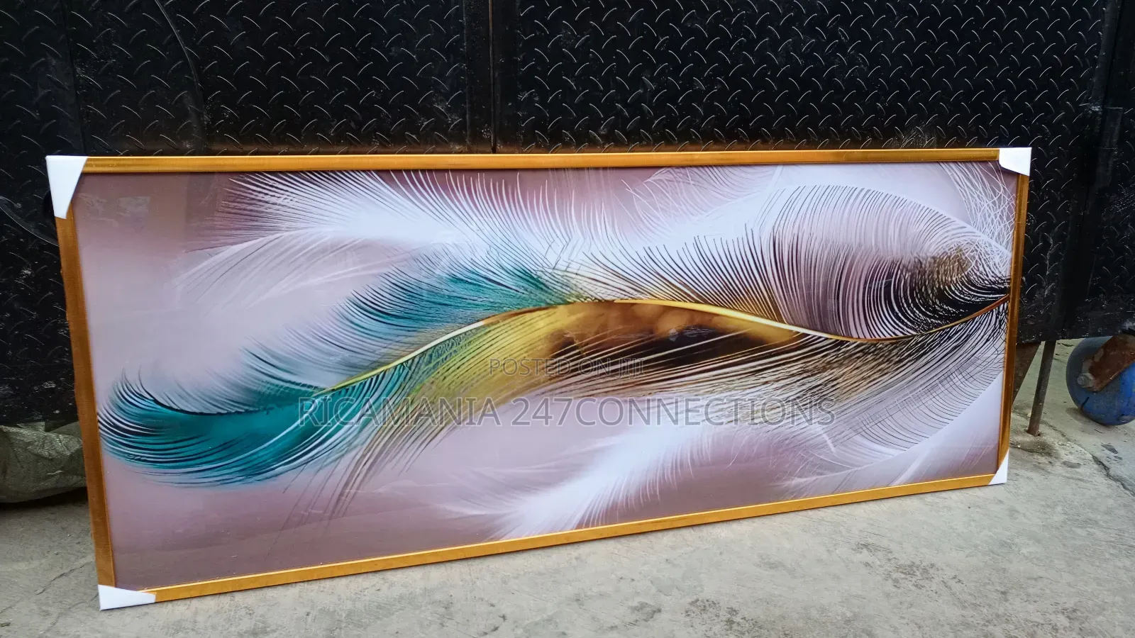 A Large Feather Acrylic Glass Frame