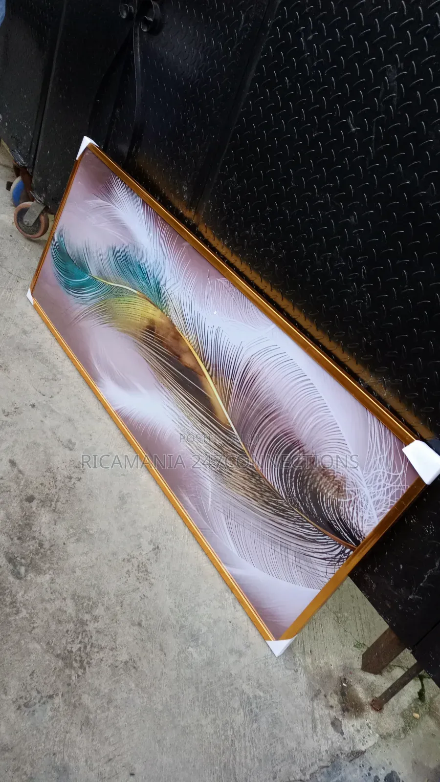 A Large Feather Acrylic Glass Frame