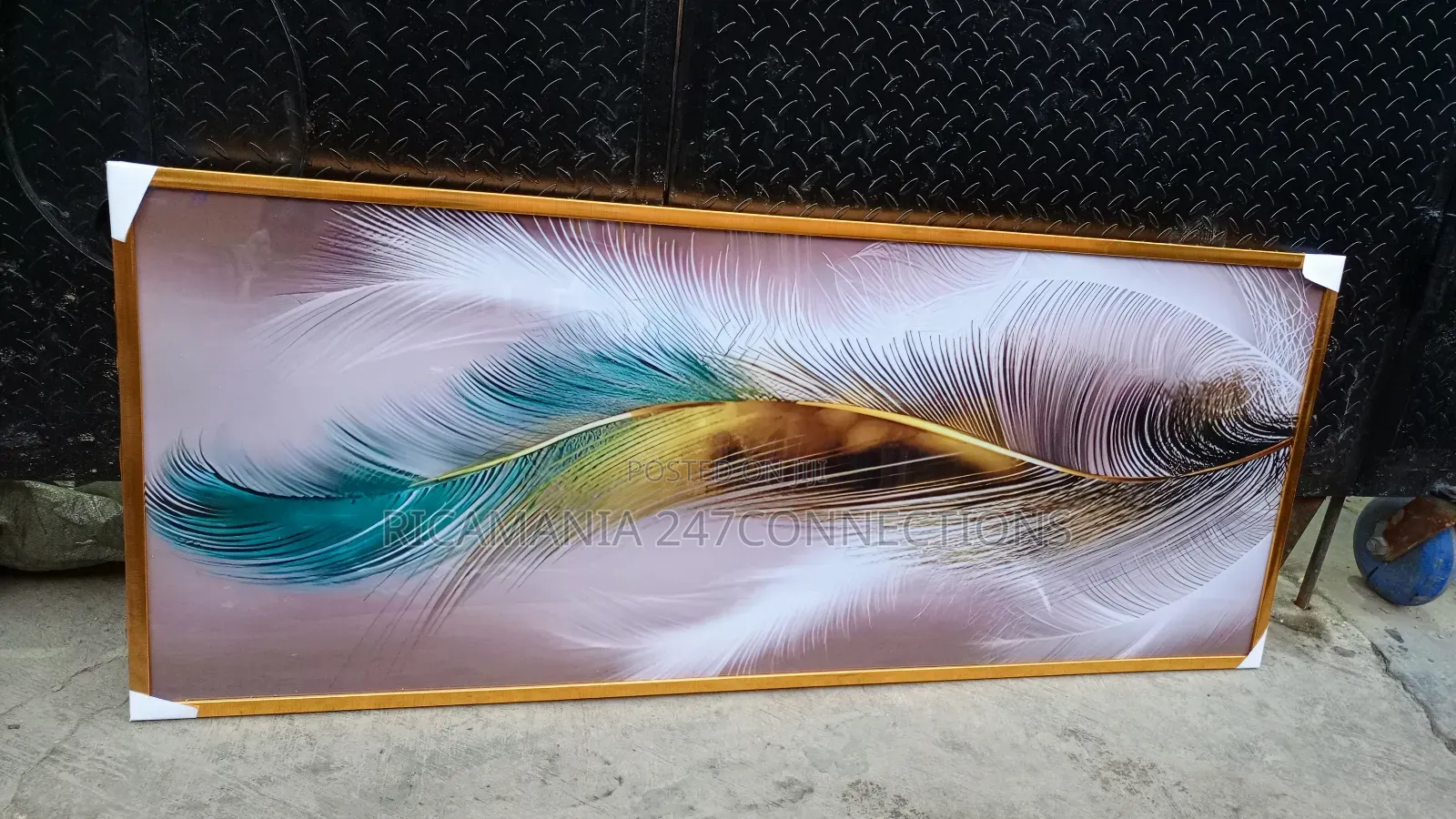 A Large Feather Acrylic Glass Frame