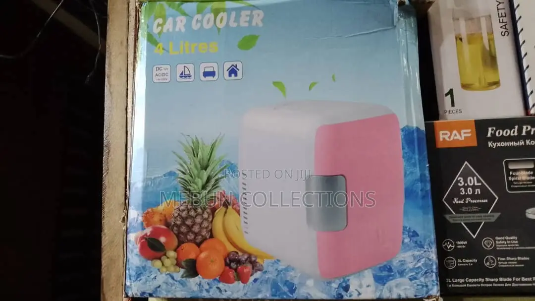 4litres Mini Car Refrigerator/Car Fridge