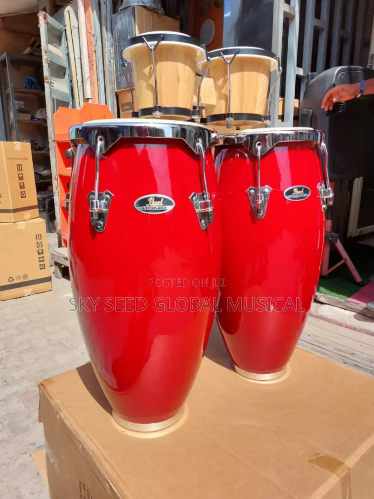 Original Japanese Pearl Conga
