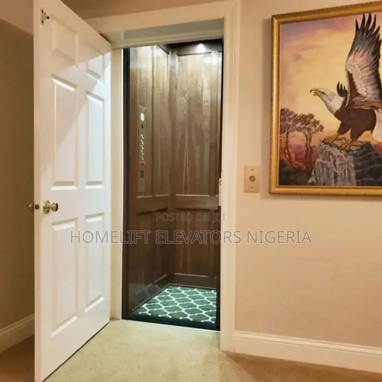 Vertical Platform Domestic Lift