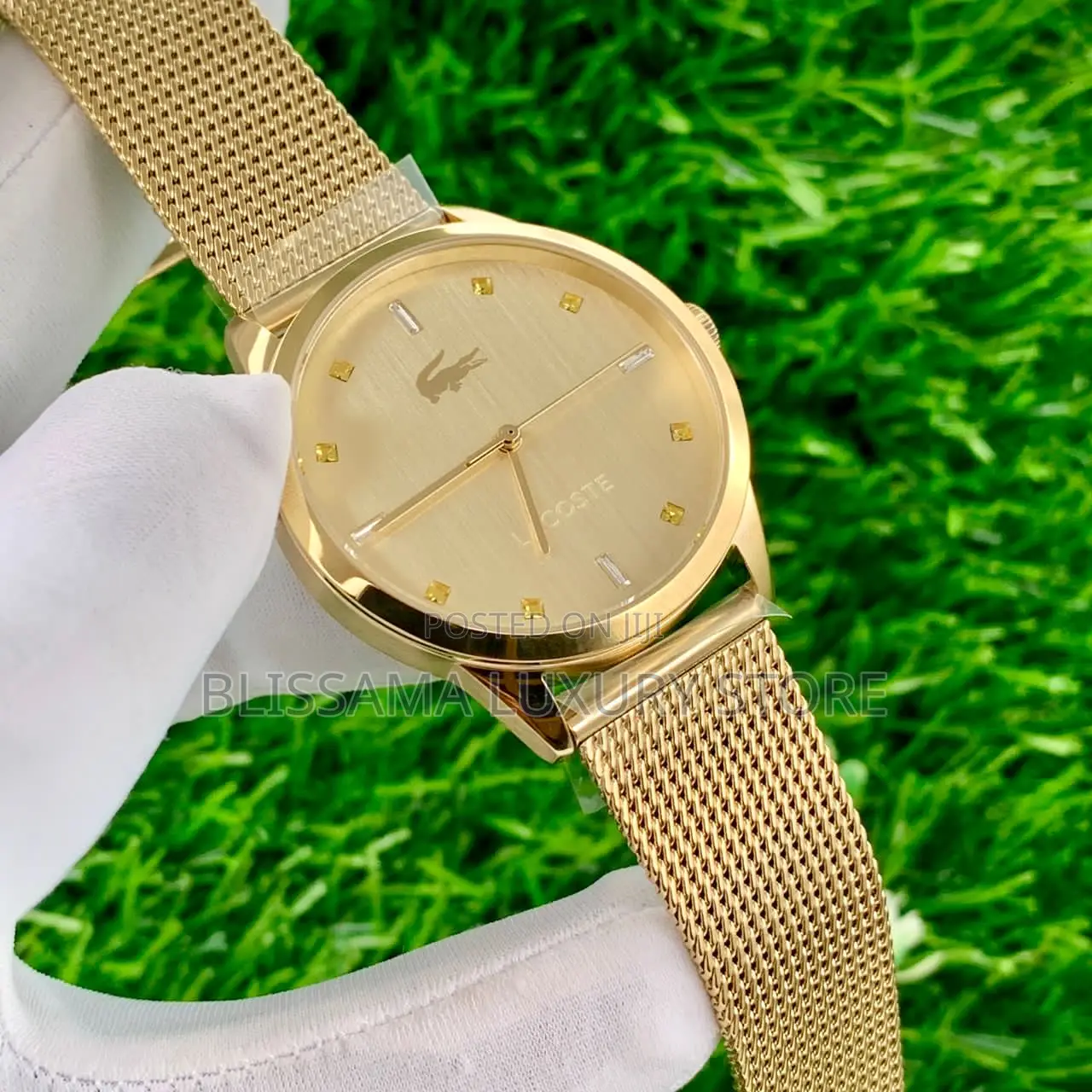 Luxury Lacoste Wristwatches