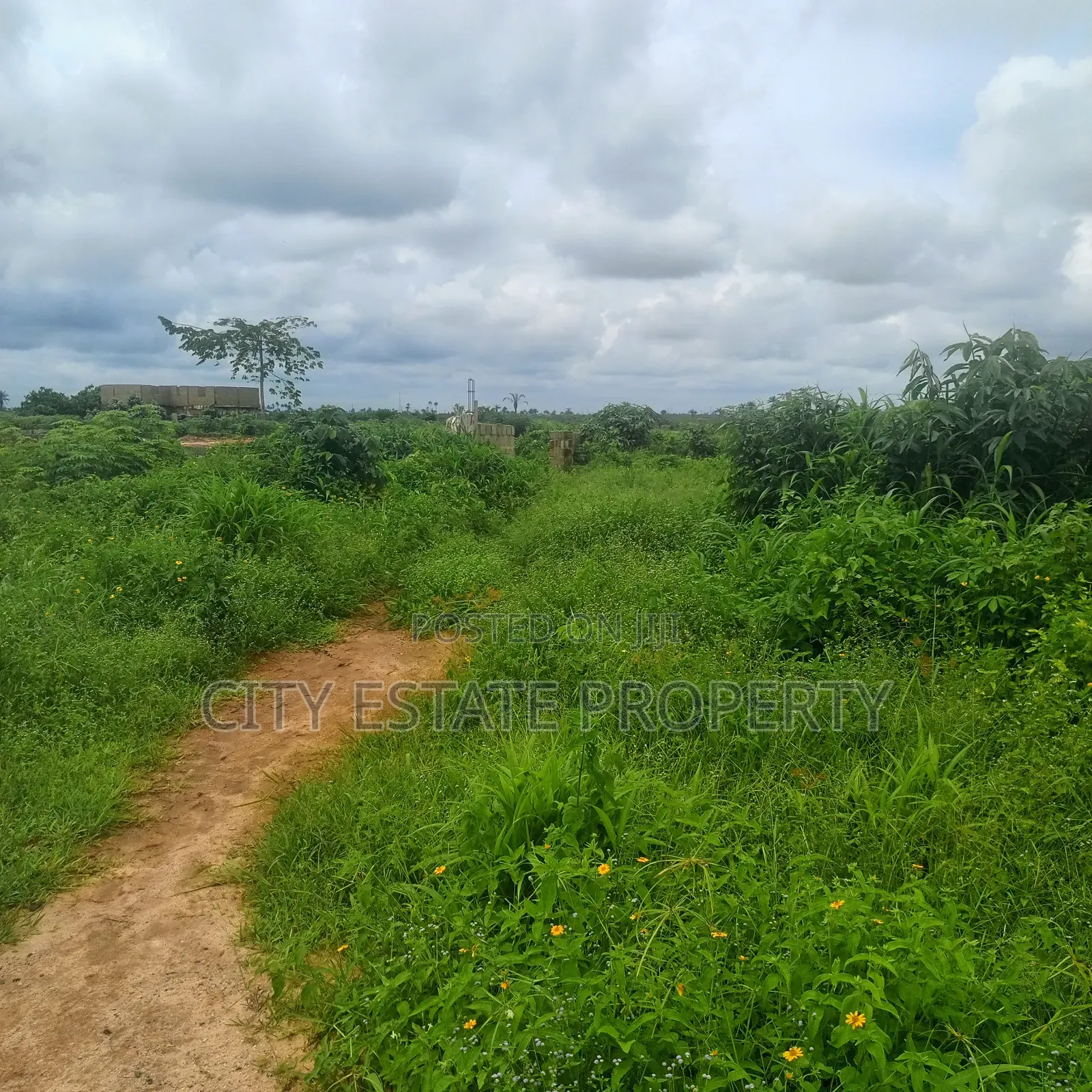 Waterfront Plots of Land for Sale