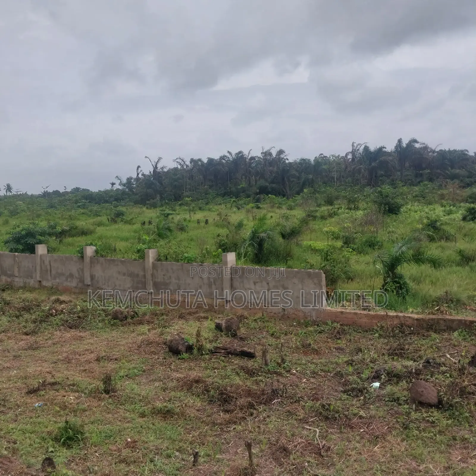 Buy 10 Plots and Get 1plot Free