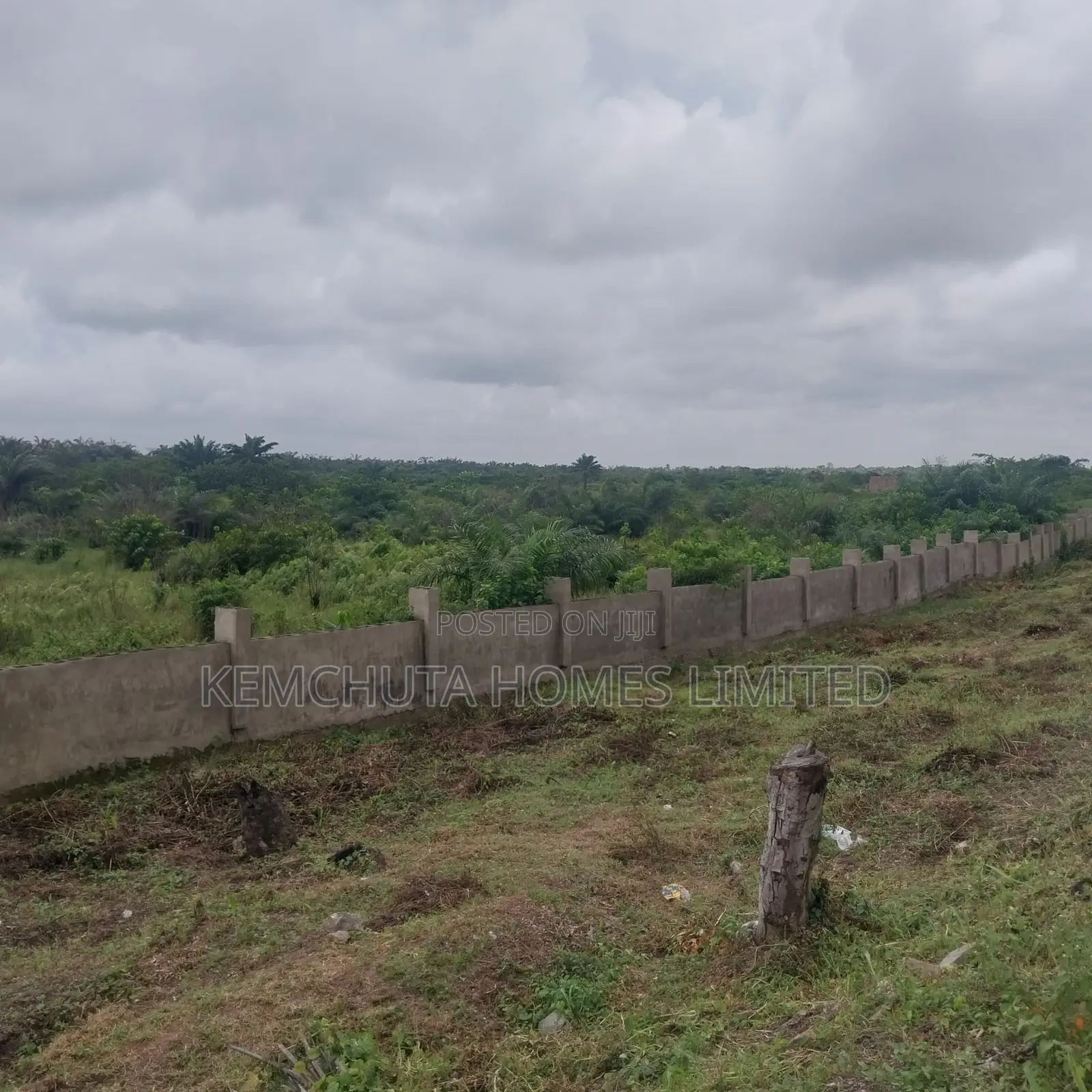 Land in Epe Facing Ikorodu Expressway Lagos Nigeria