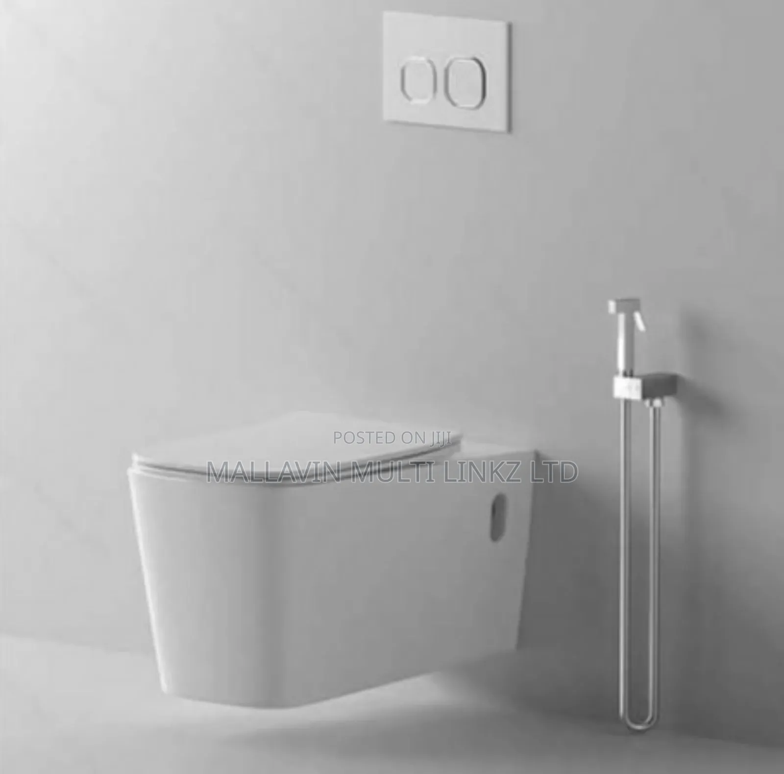 White Conceal Toilet Seats WC + Bidet Sprayer