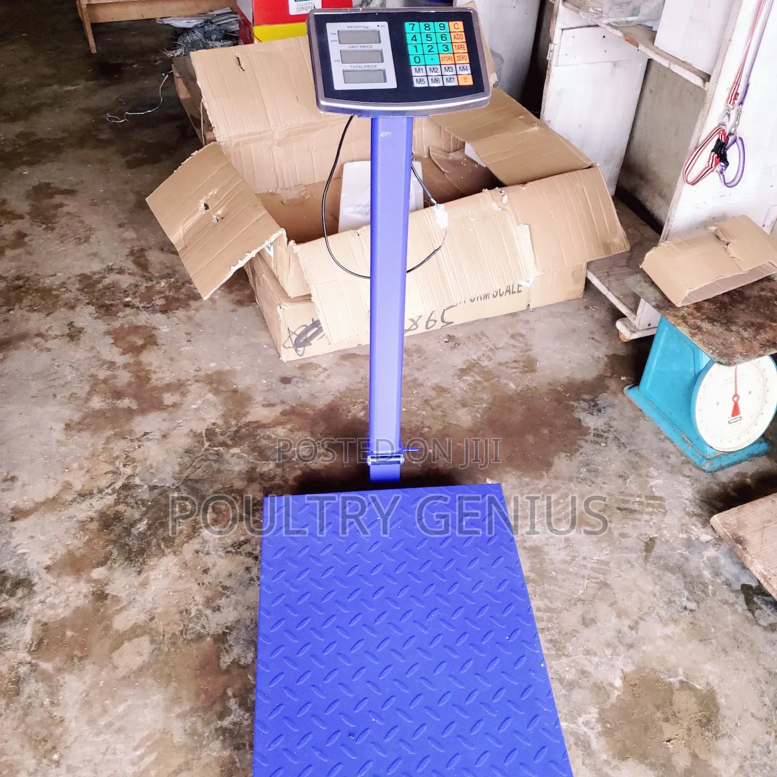 Digital Platform Scale 500kg