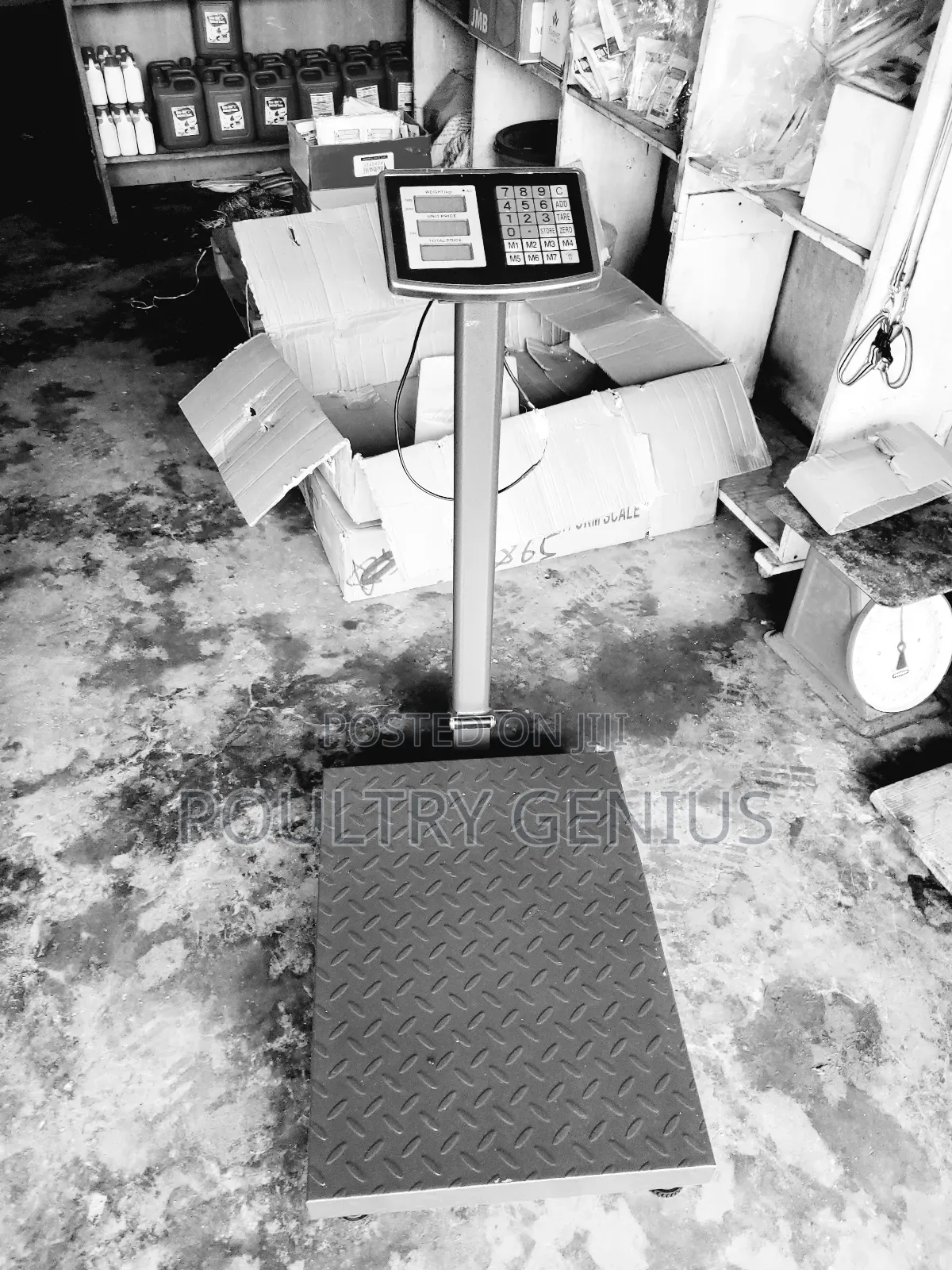 Digital Platform Scale 500kg