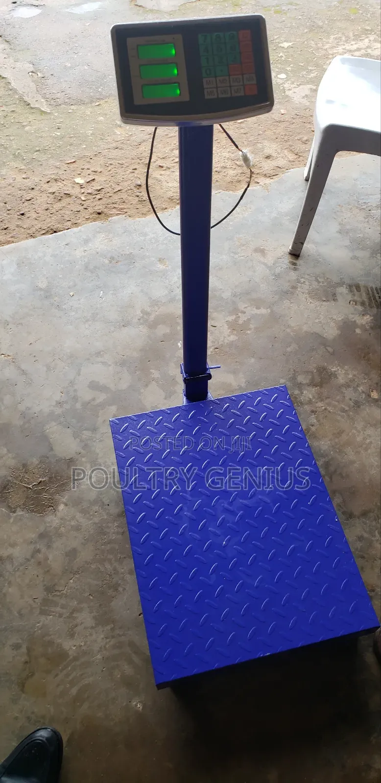 Digital Platform Scale 500kg