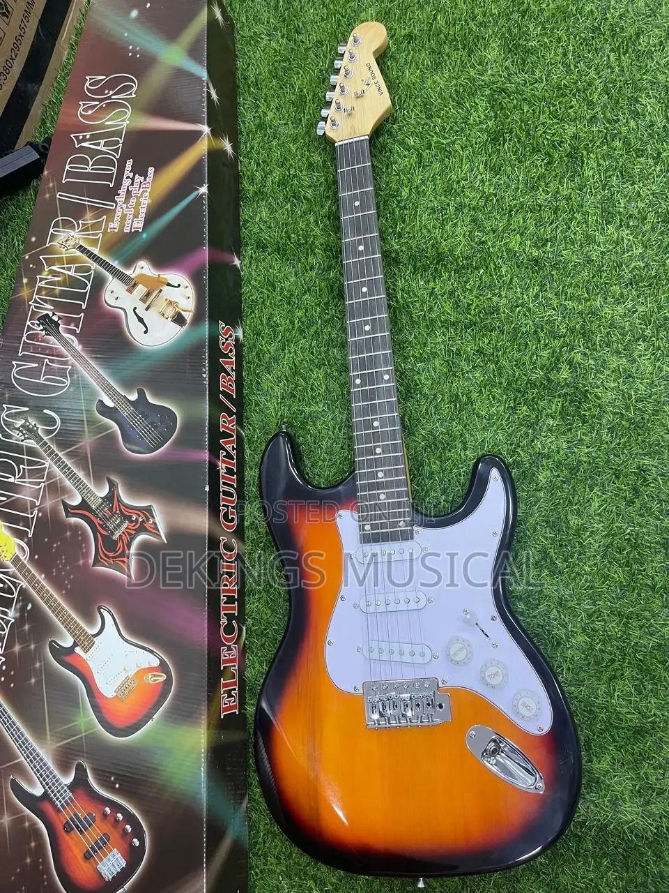 Professional Lead Electric Guitar