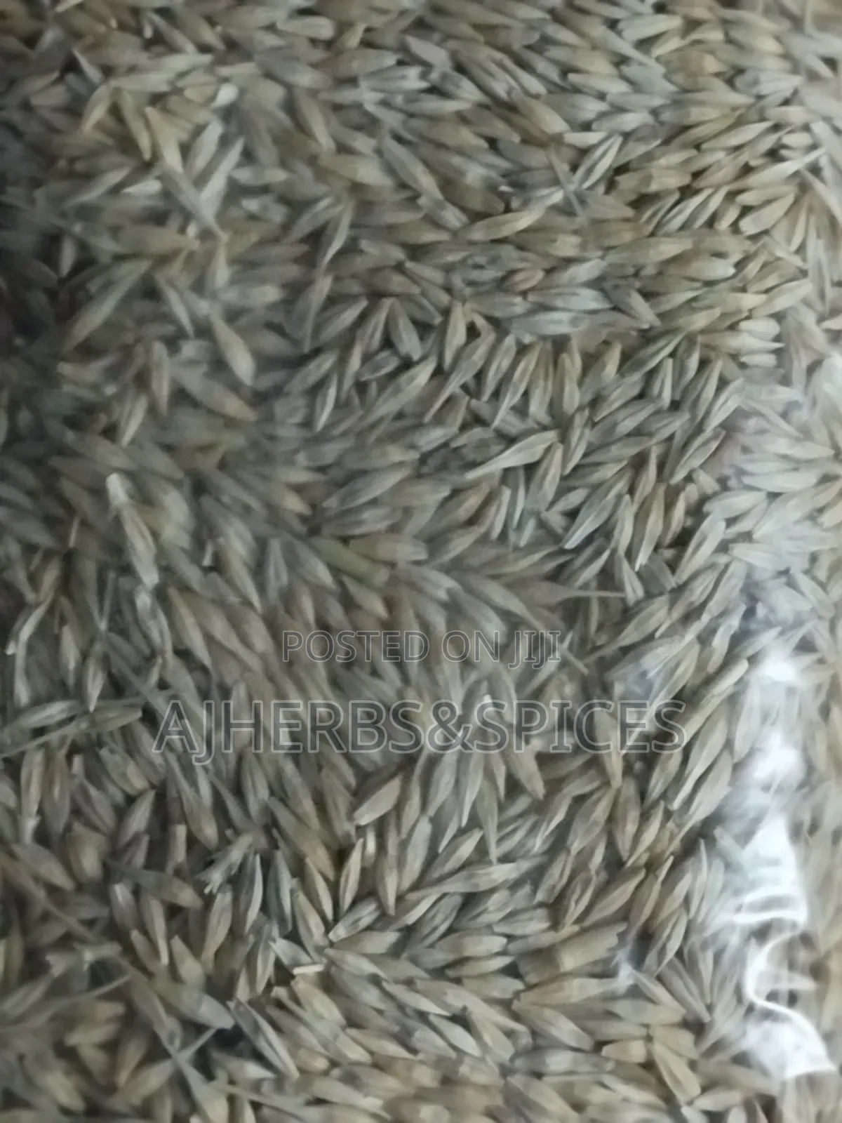 Barley Grain