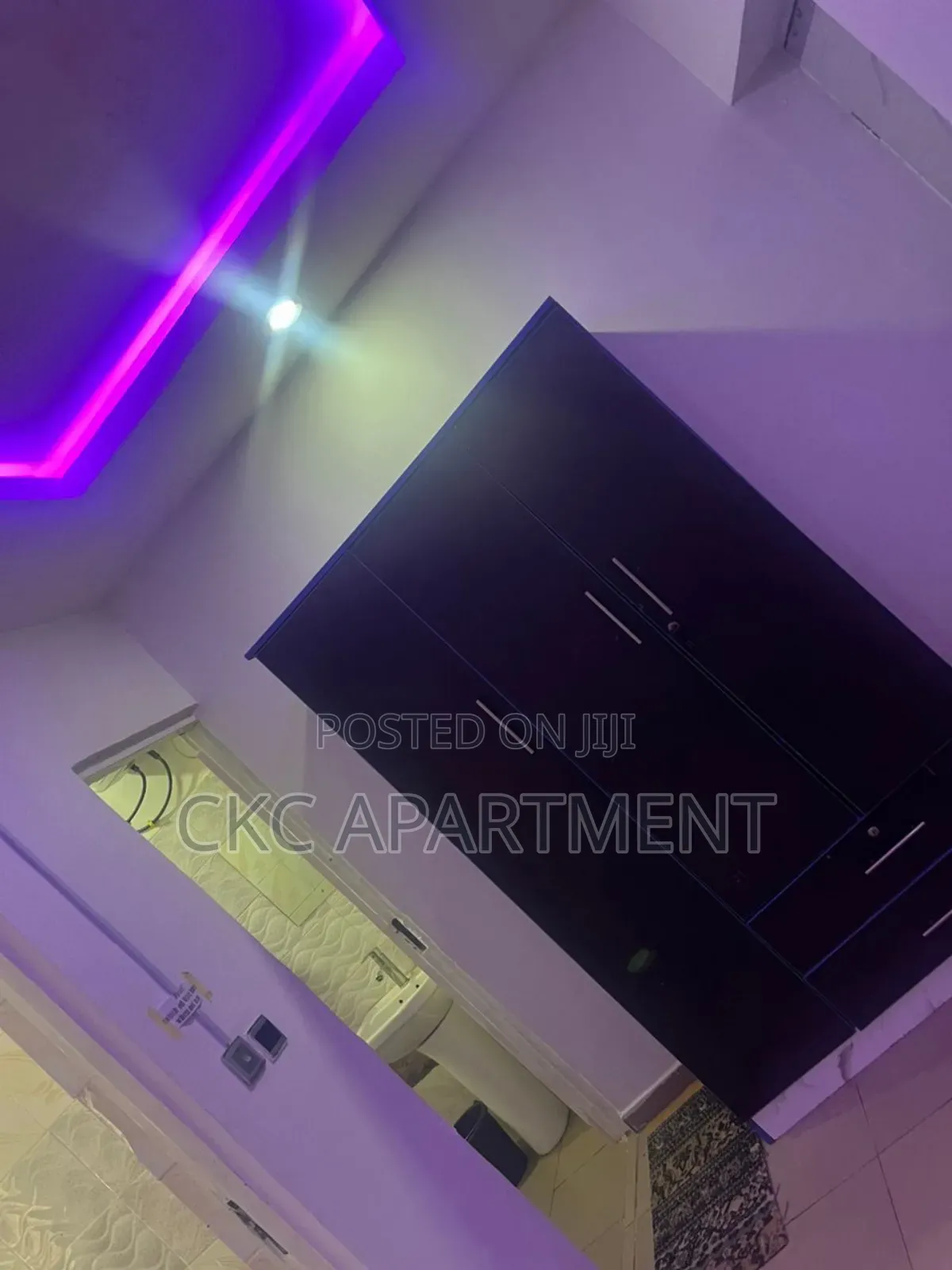 Luxury Apartment