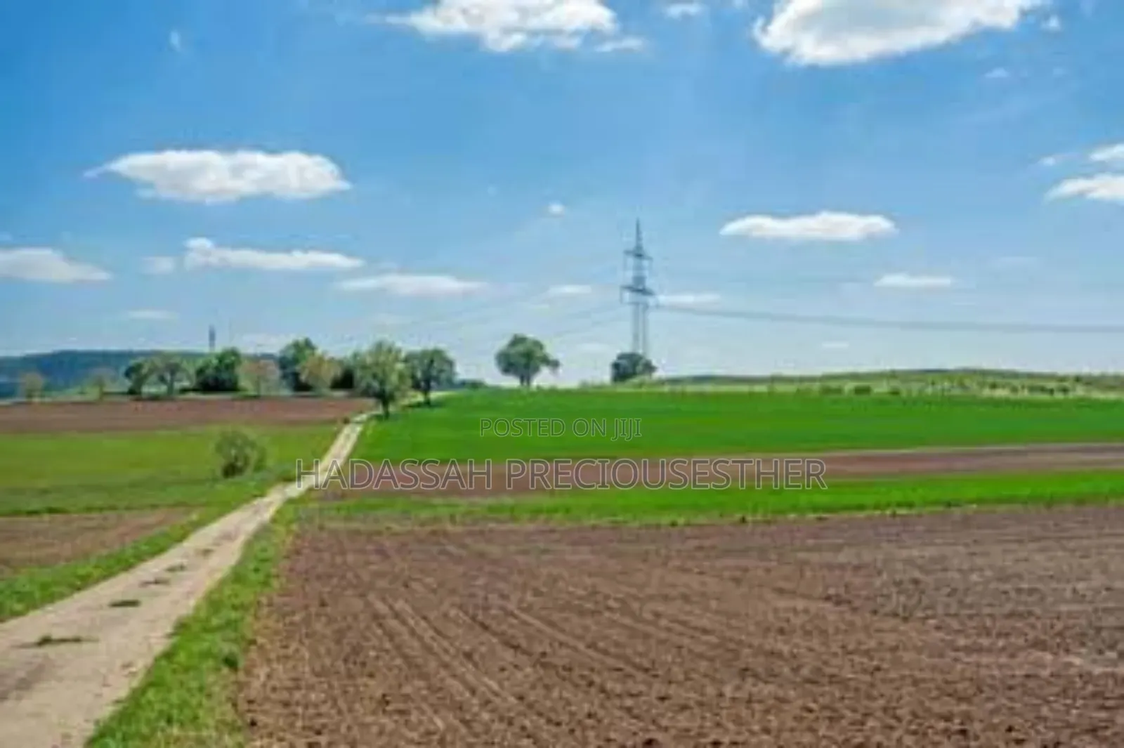 Hectares of Land for Real Estate Companies in Uyo