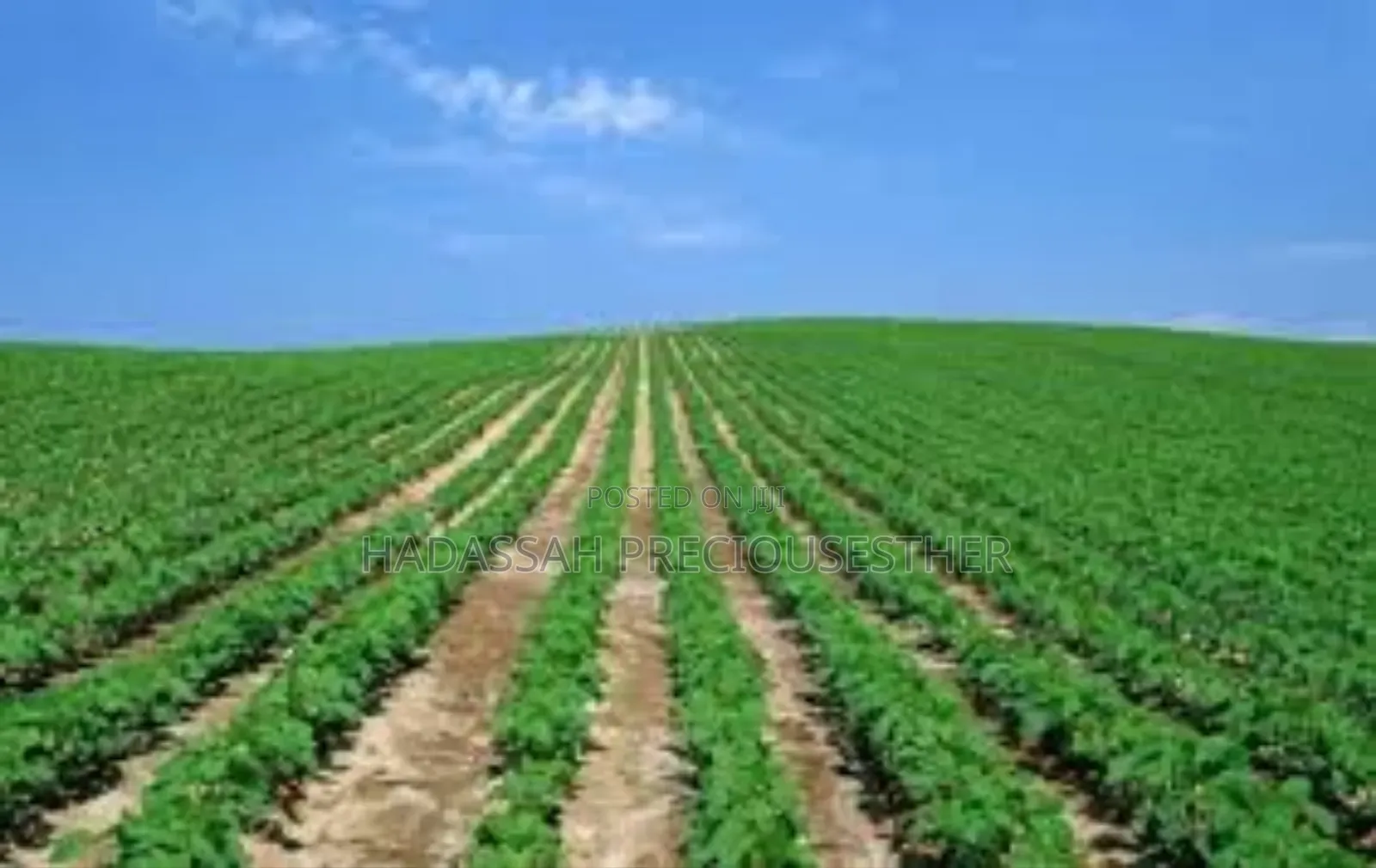 Hectares of Land for Real Estate Companies in Uyo