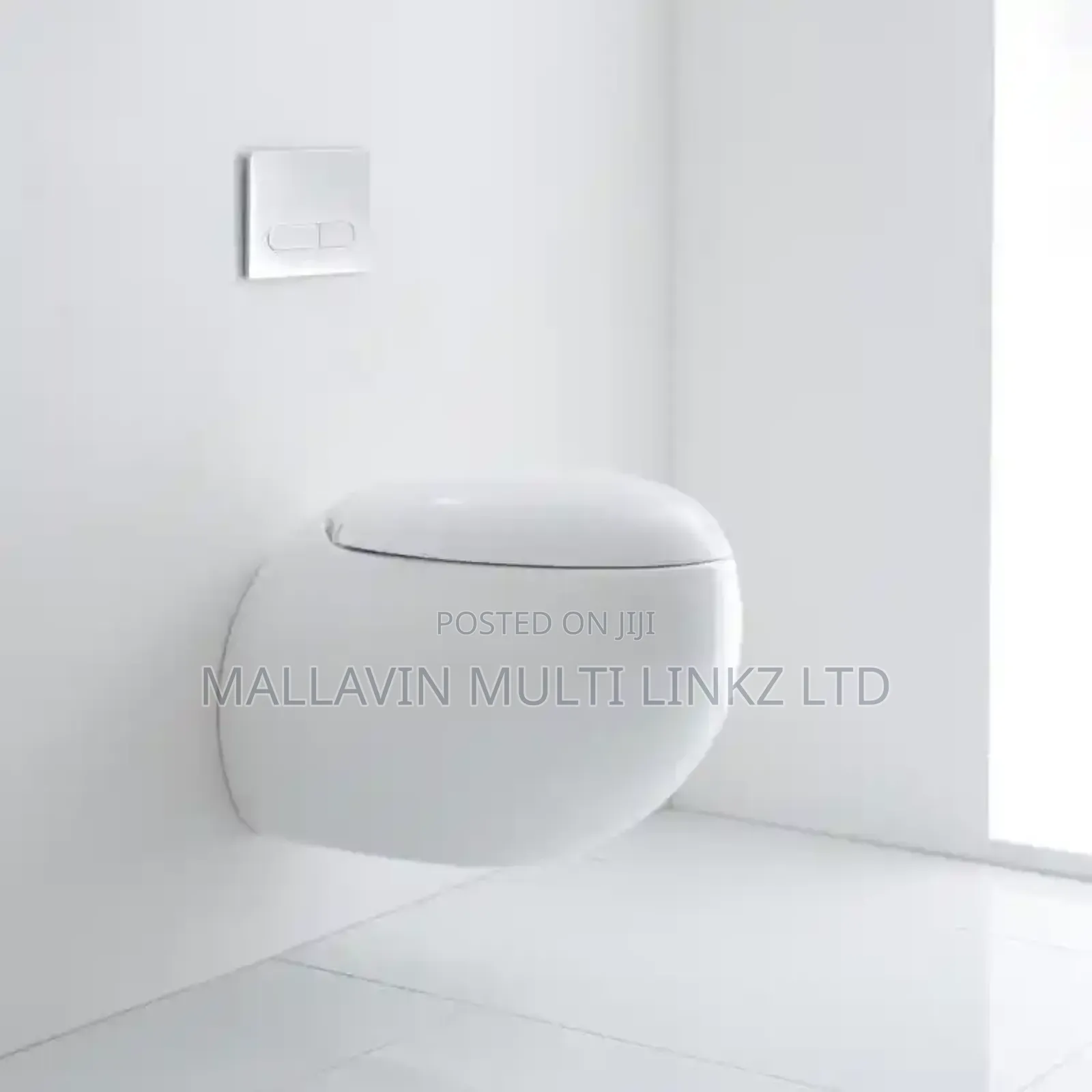 Egg Shape Wall Hung Wc With Conceal Tank