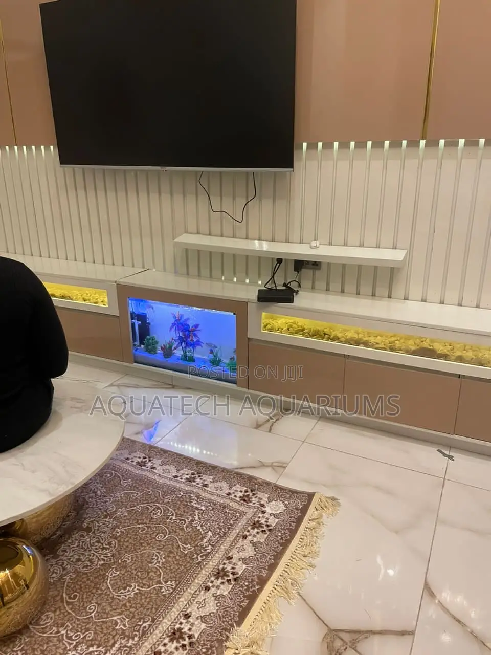 Tv Console Aquarium