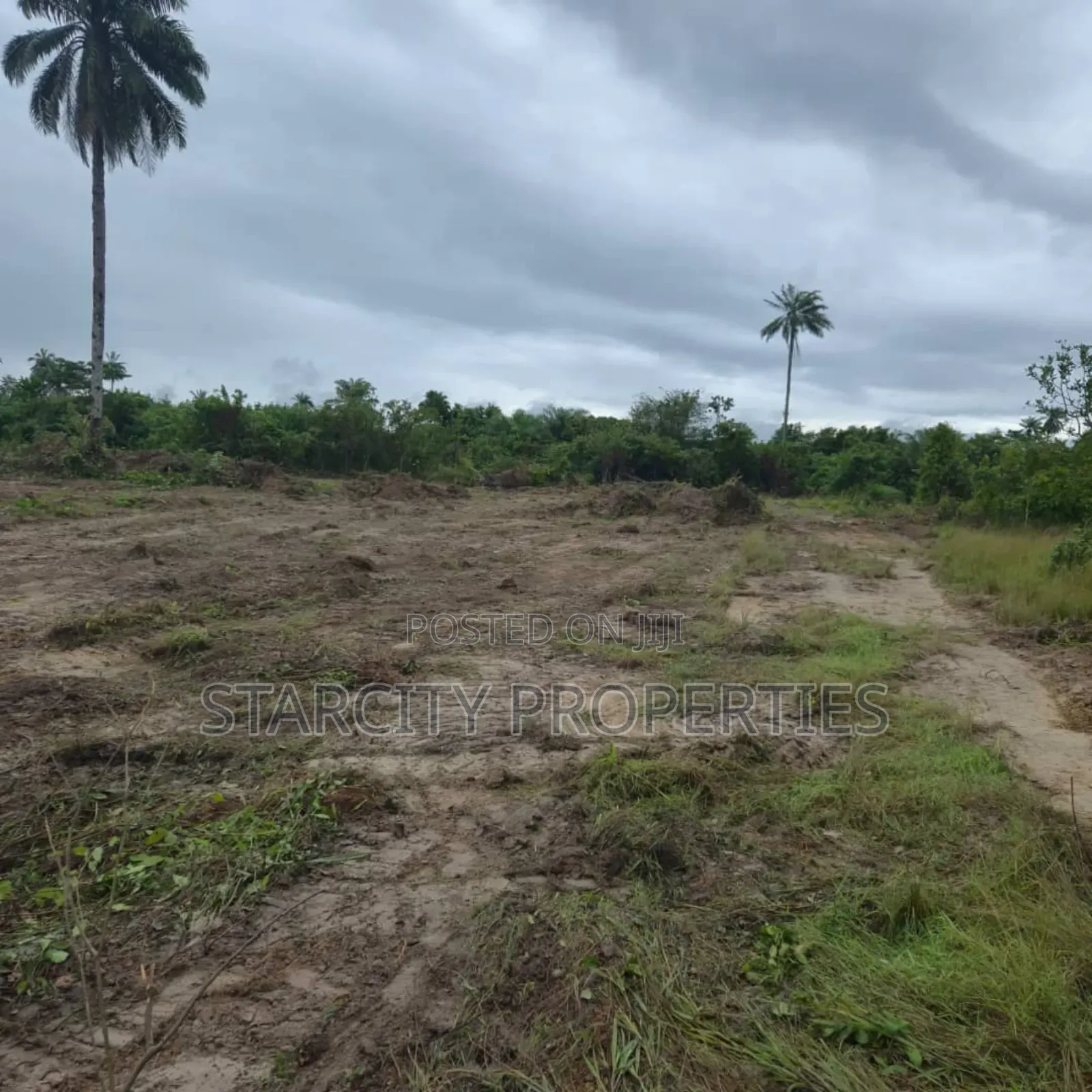 Plots of Land in Iseyin Ibadan Road Moniya Oyo State