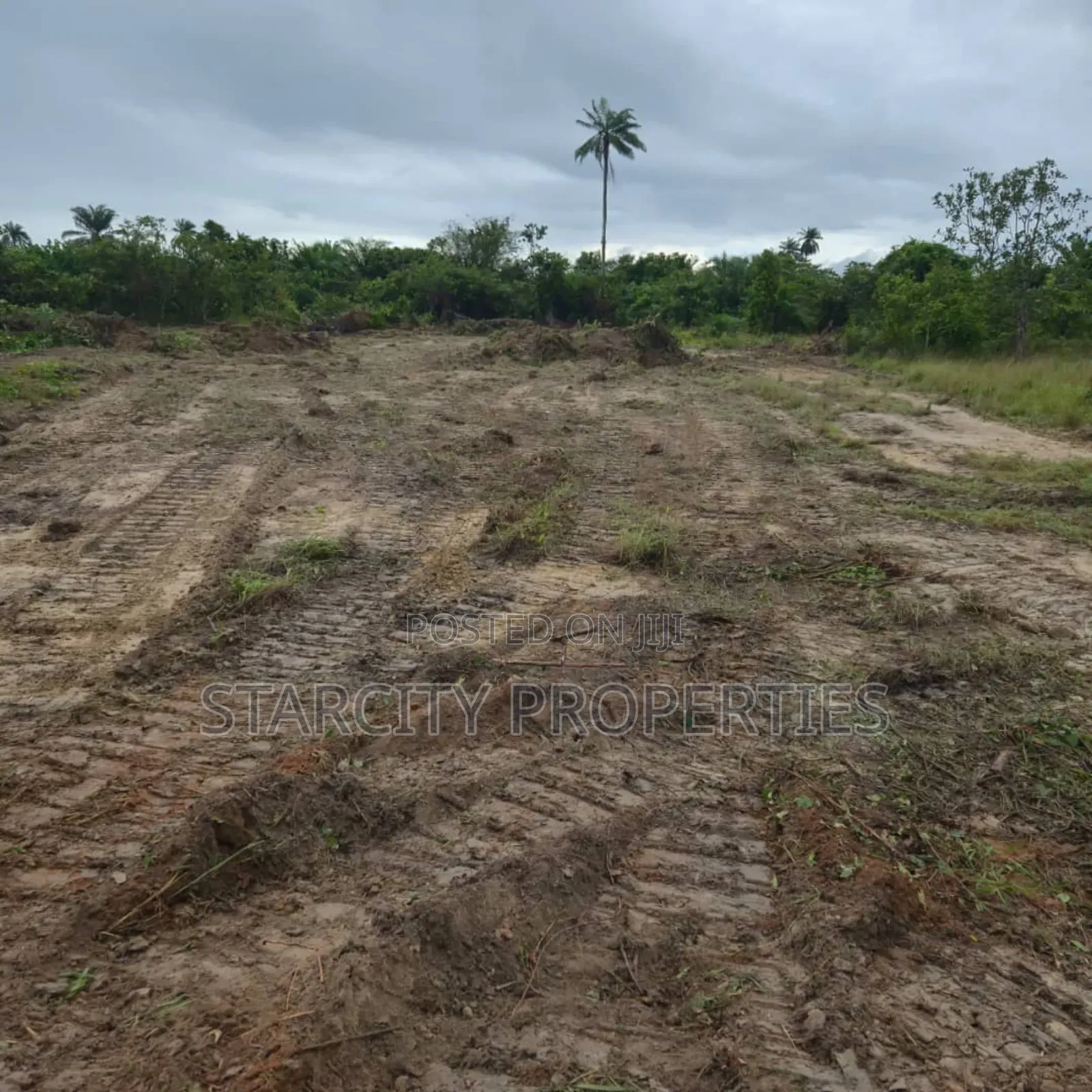 Plots of Land in Iseyin Ibadan Road Moniya Oyo State