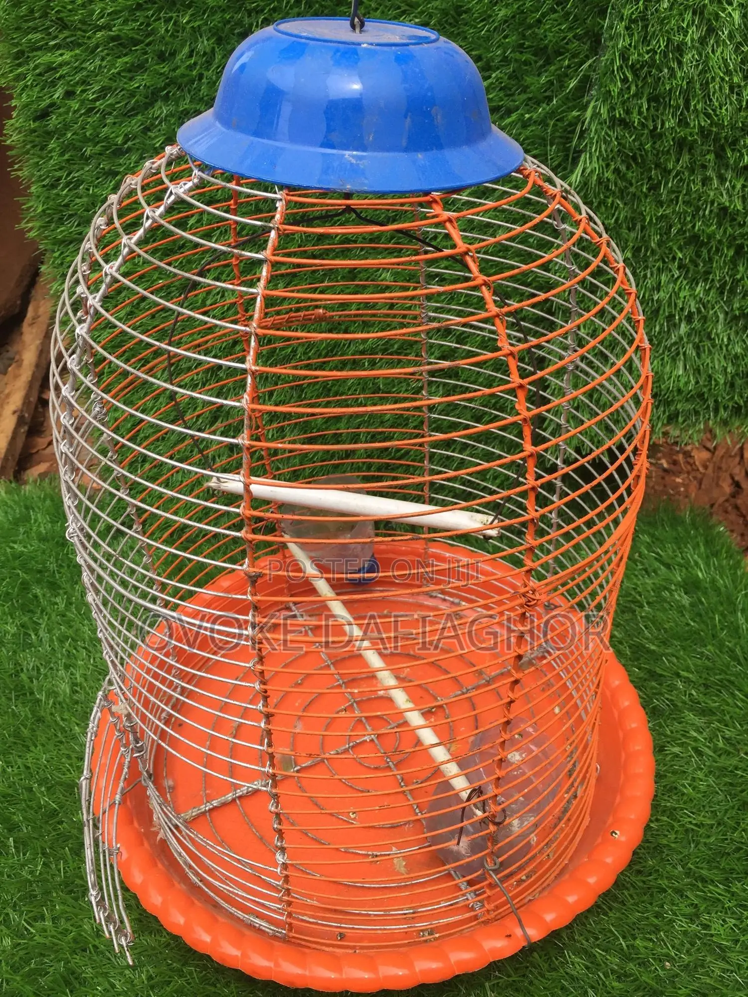 Cages For Parrots
