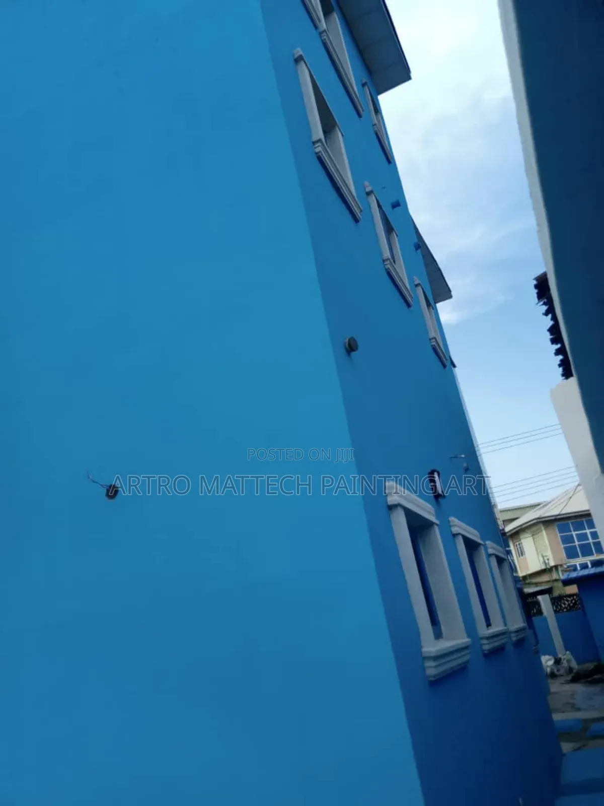 Pro Painter: Expert Painting Finishes/ Color Guru Decorator