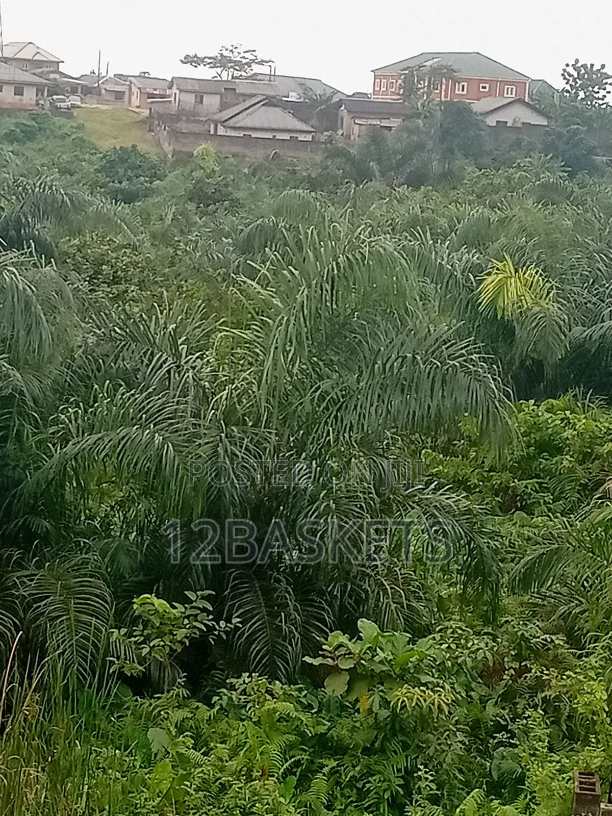 Acres of Land Along Lagos-Ibadan Expressway