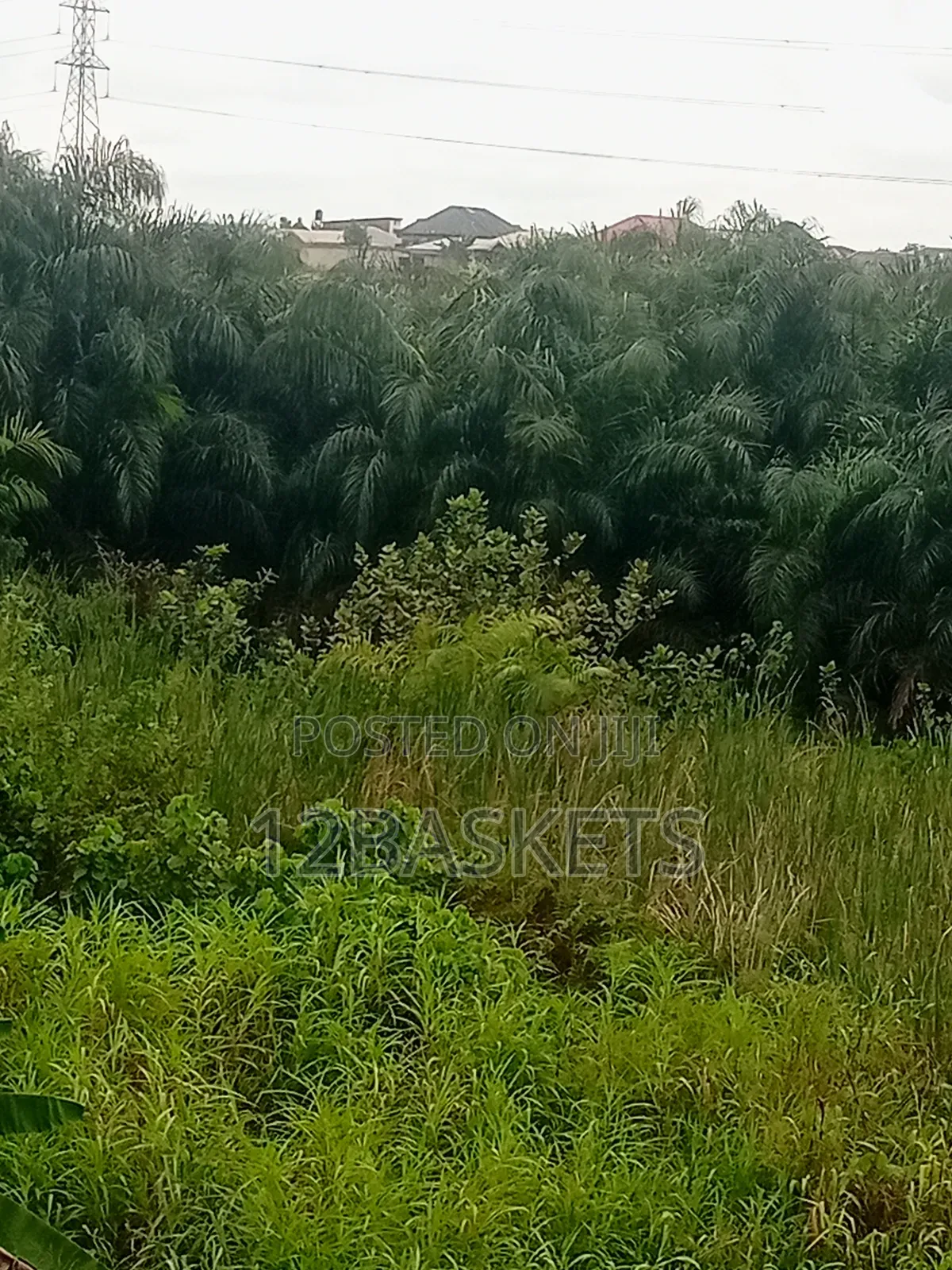 Acres of Land Along Lagos-Ibadan Expressway