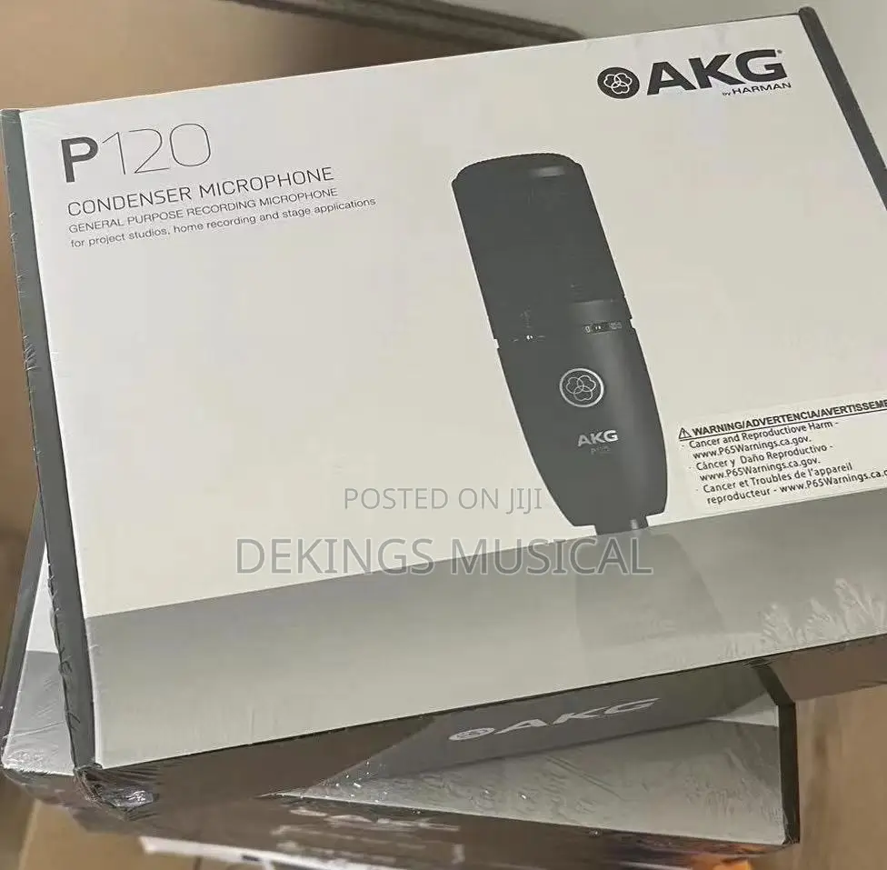 AKG P120 High-Performance General Purpose Recording Mic