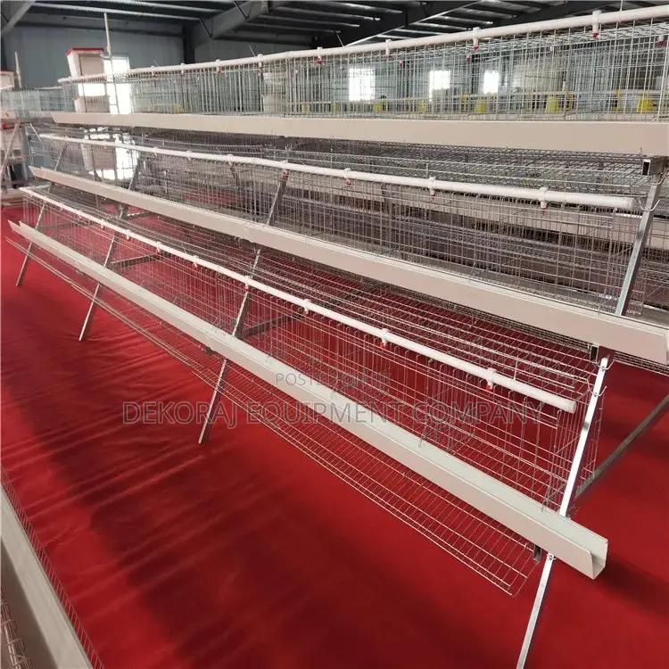 120 Birds Super Hotdip Imported Cage(20years),Fish Kiln