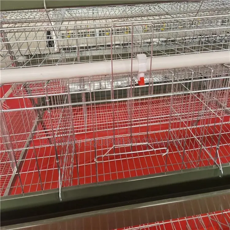 A Type Hot Imported 160birds (25 Years Guarantee),Fish Oven