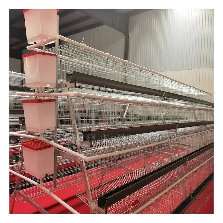 96 Birds Battery Cage, A Type Imported (25years Guarantee)