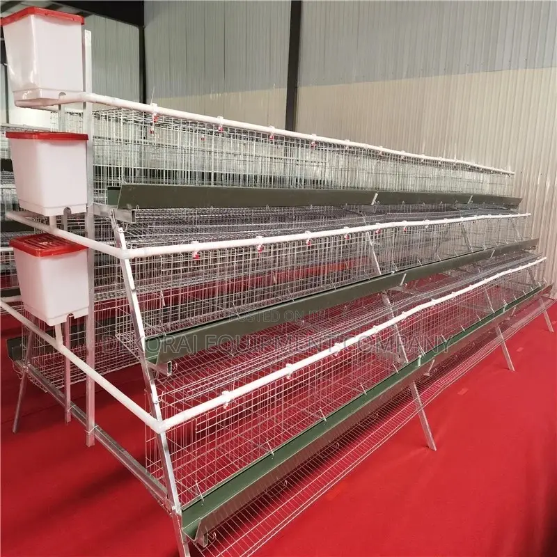 Poultry Cages Hub, Layer, Imported Broiler And Rabbit Cages