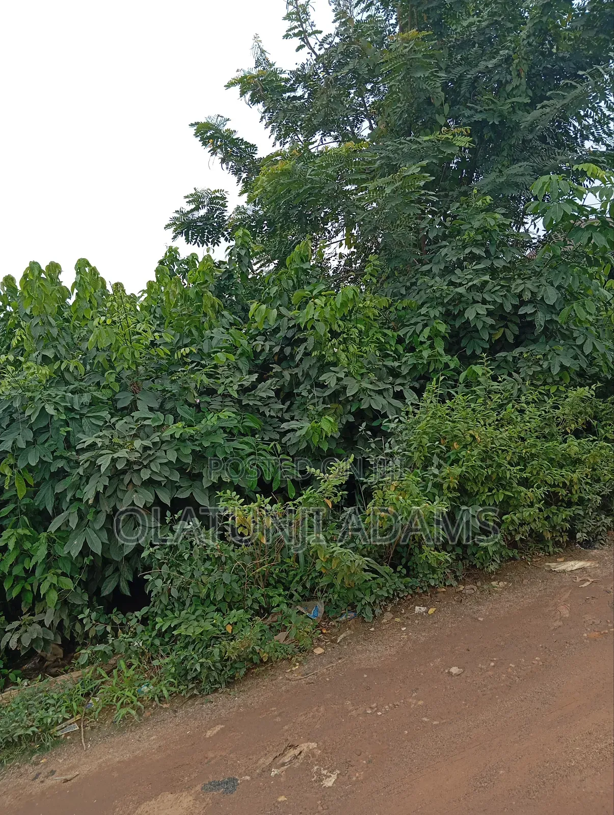 2000acres of Farmland at Ogbaga/Gbongan