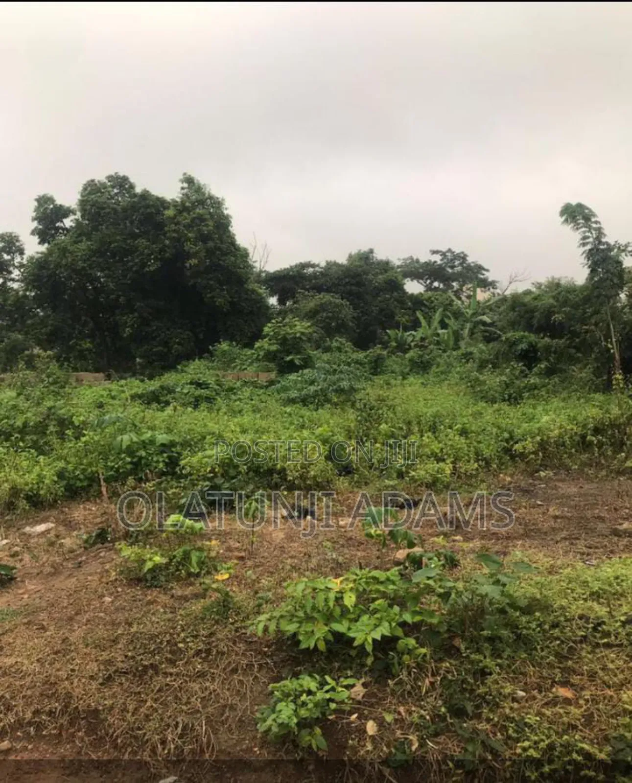 10acees of Farmland at Osuntedo
