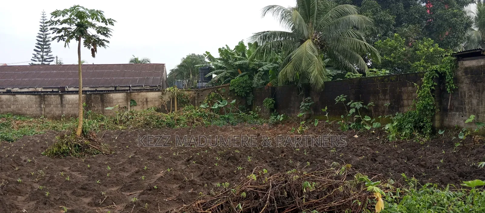 For Sale: Fenced and Gated Cofo 15 Plots at Rumuigbo
