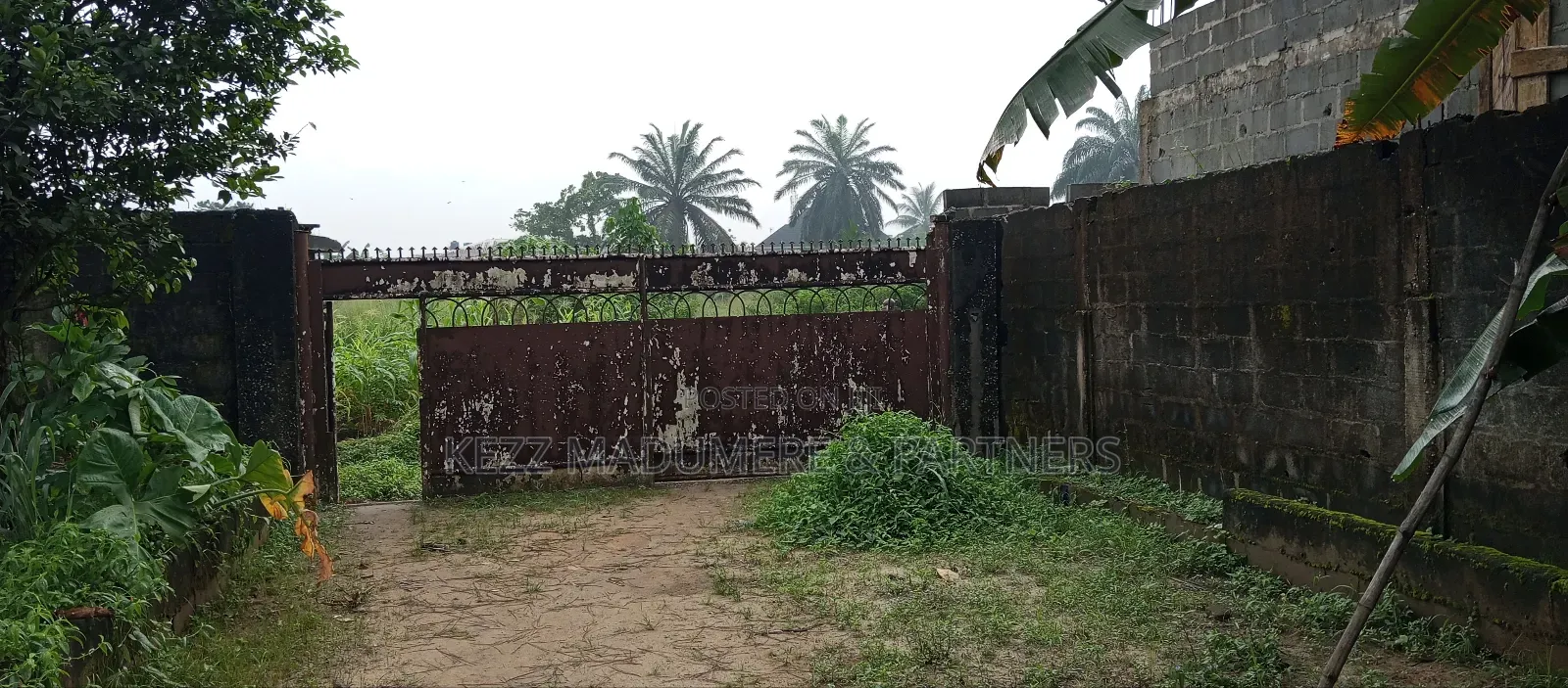 For Sale: Fenced and Gated Cofo 15 Plots at Rumuigbo