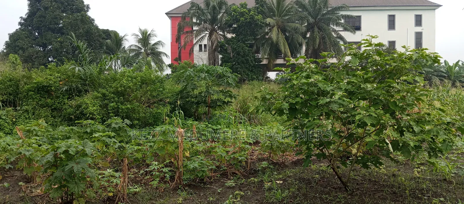 For Sale: Fenced and Gated Cofo 15 Plots at Rumuigbo