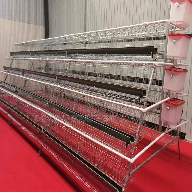 160 Birds Cage Imported (25 Years Guarantee) High Grade Cage