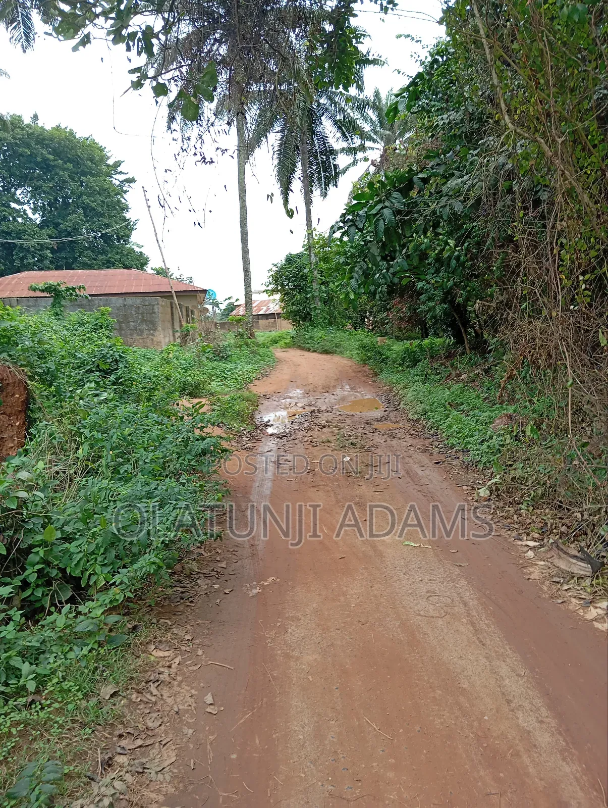 170acrea of Farmland at Osuntedo in Osun State