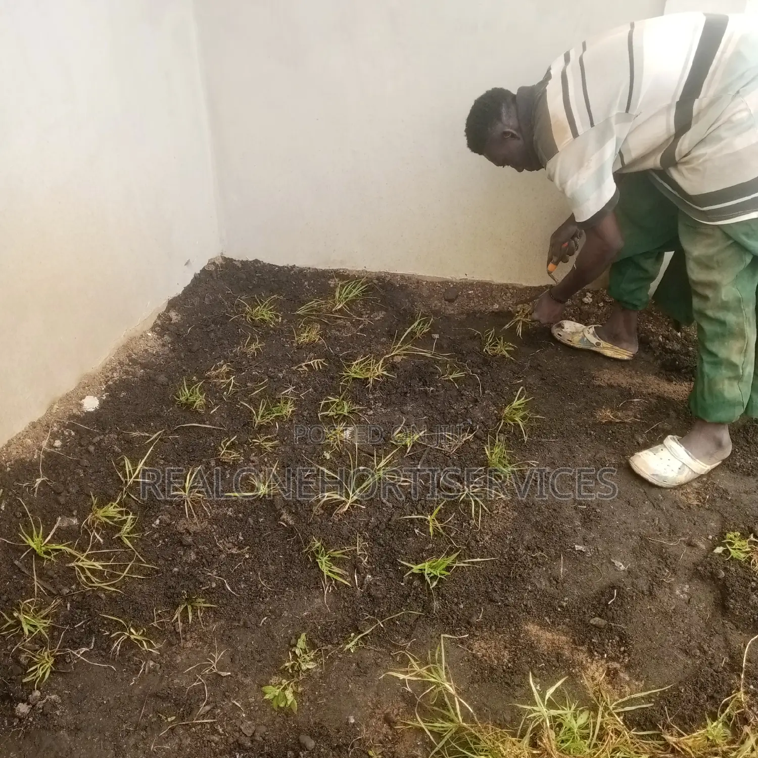 Lawn Establishment Services and Flower Nursery