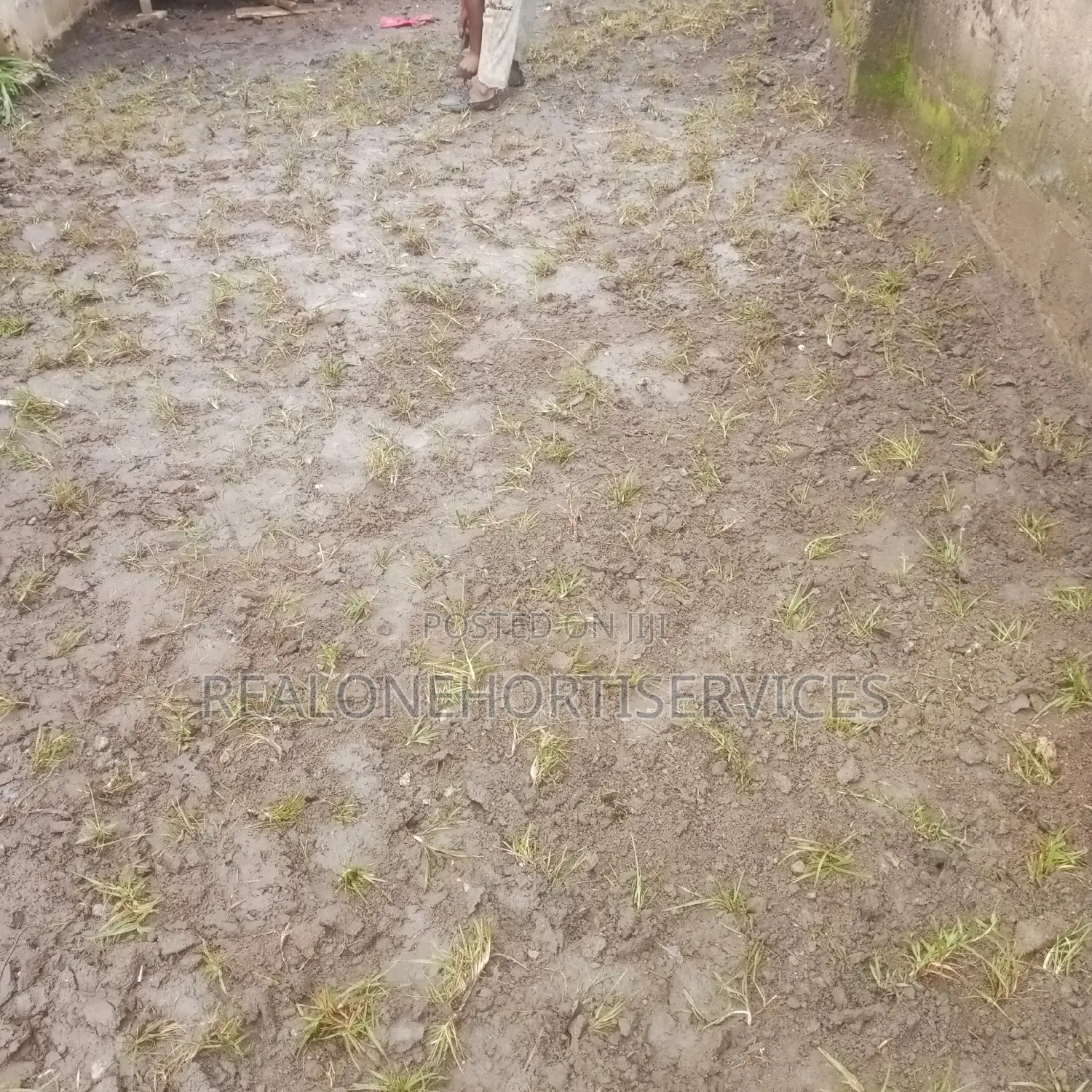 Lawn Establishment Services and Flower Nursery