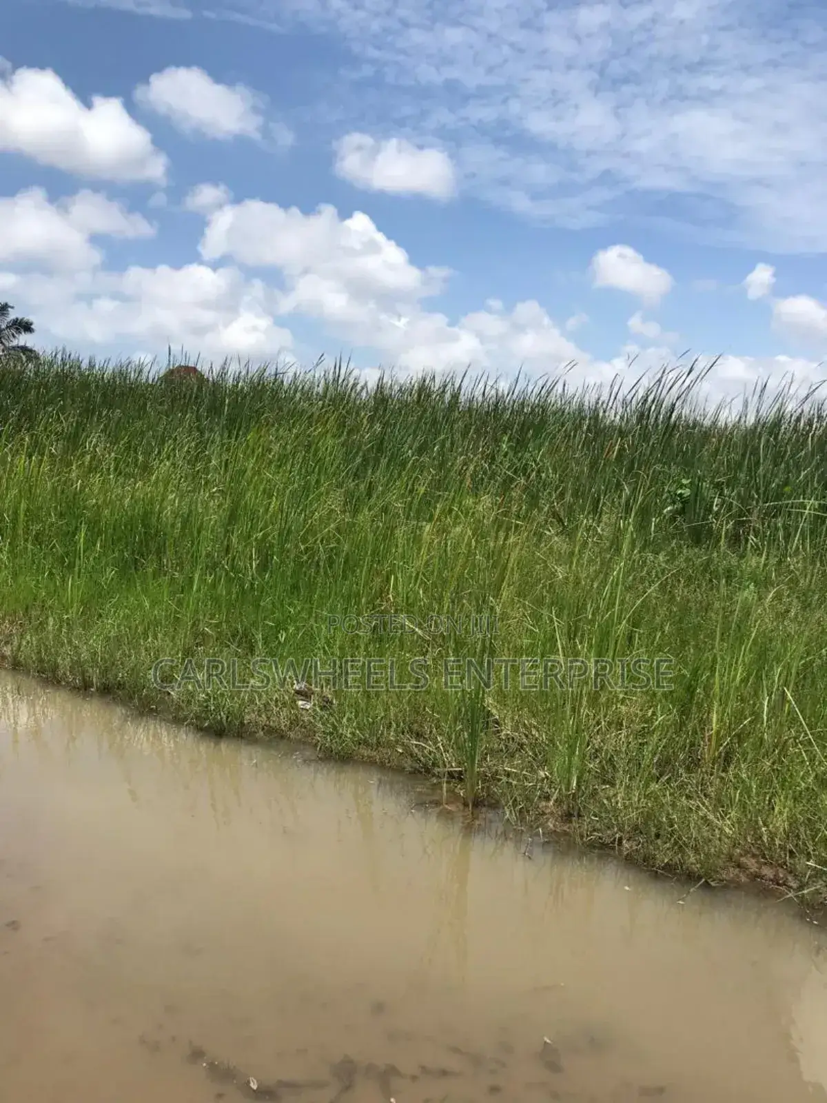 100 Ecres Not Dry and Not Swamp Land in Kajola Phase 2