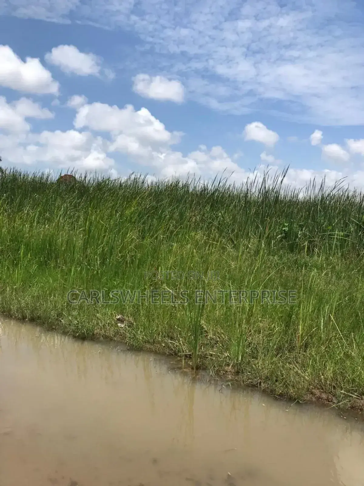 100 Ecres Not Dry and Not Swamp Land in Kajola Phase 2