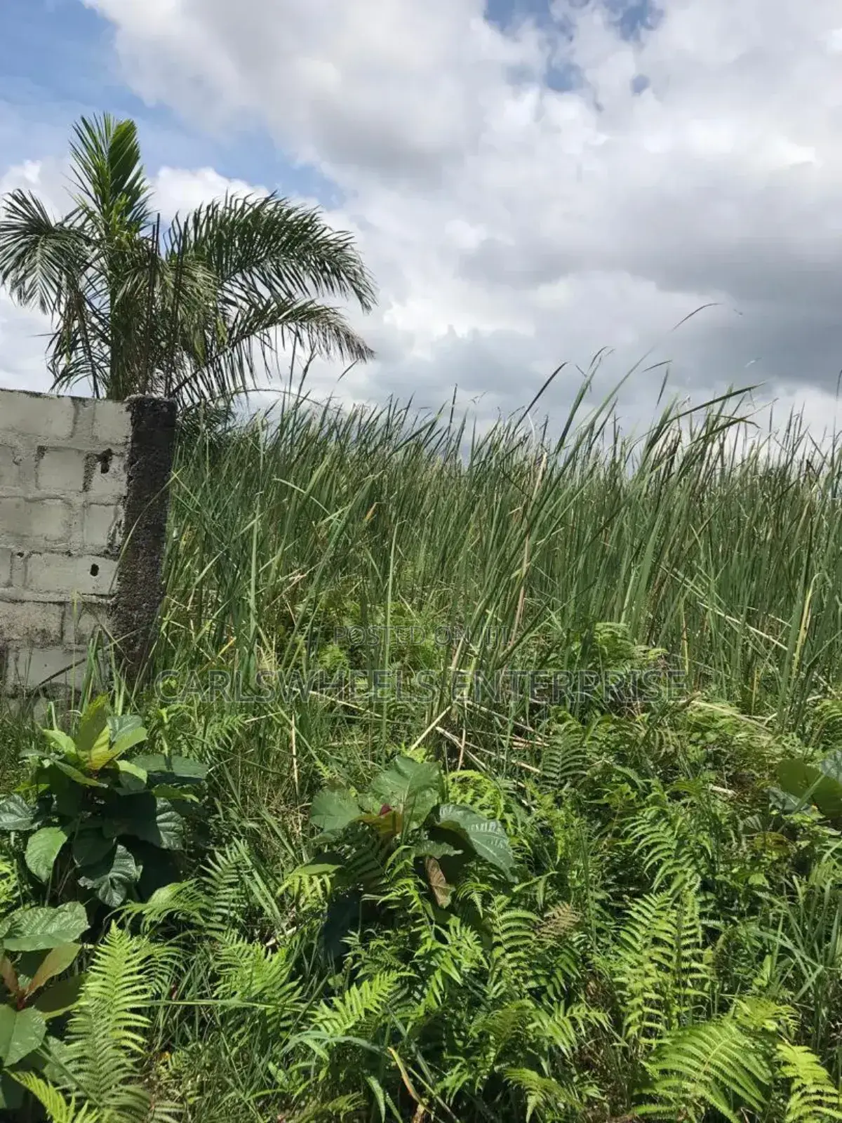 100 Ecres Not Dry and Not Swamp Land in Kajola Phase 2