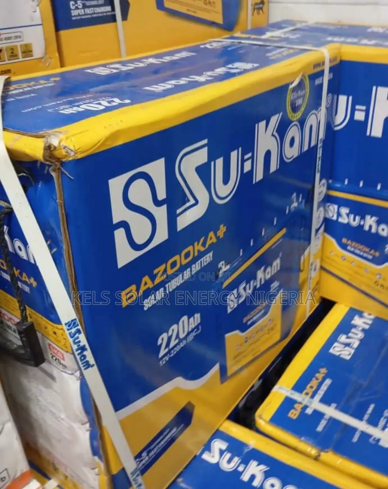 High Standard 220ah Sukam Tubular Battery