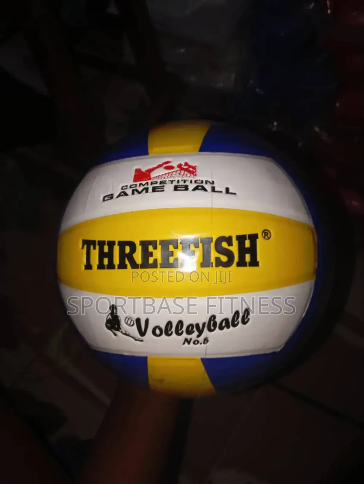 Three Fish Volleyball
