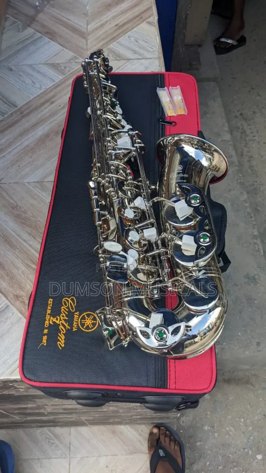 Alto Saxophone  Pure Sevilla